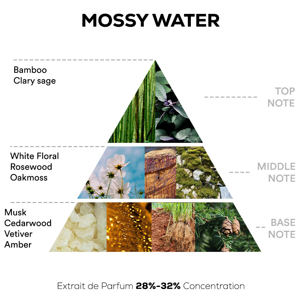 Mossy Water Perfume - 50ml | 100ml Extrait De Parfum