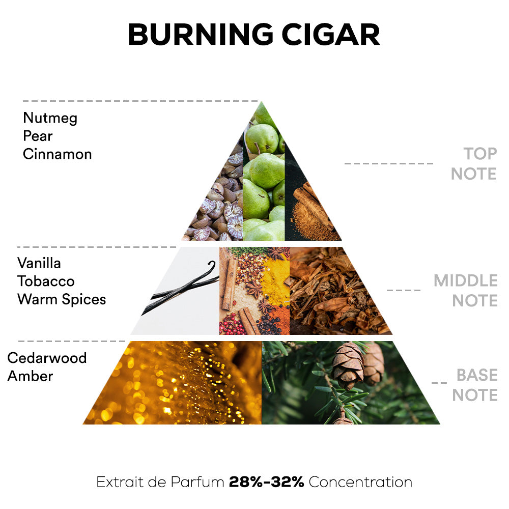 Burning Cigar Perfume - 50ml | 100ml Extrait De Parfum