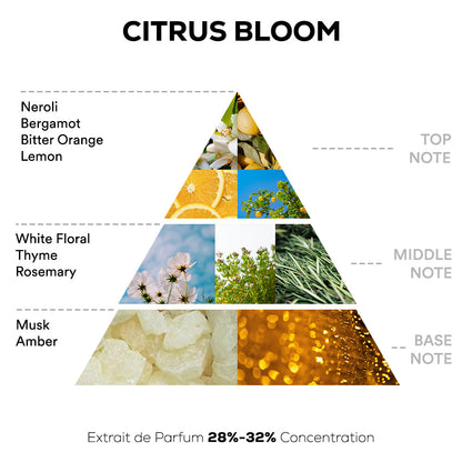 Citrus Bloom Perfume - 50ml | 100ml Extrait De Parfum