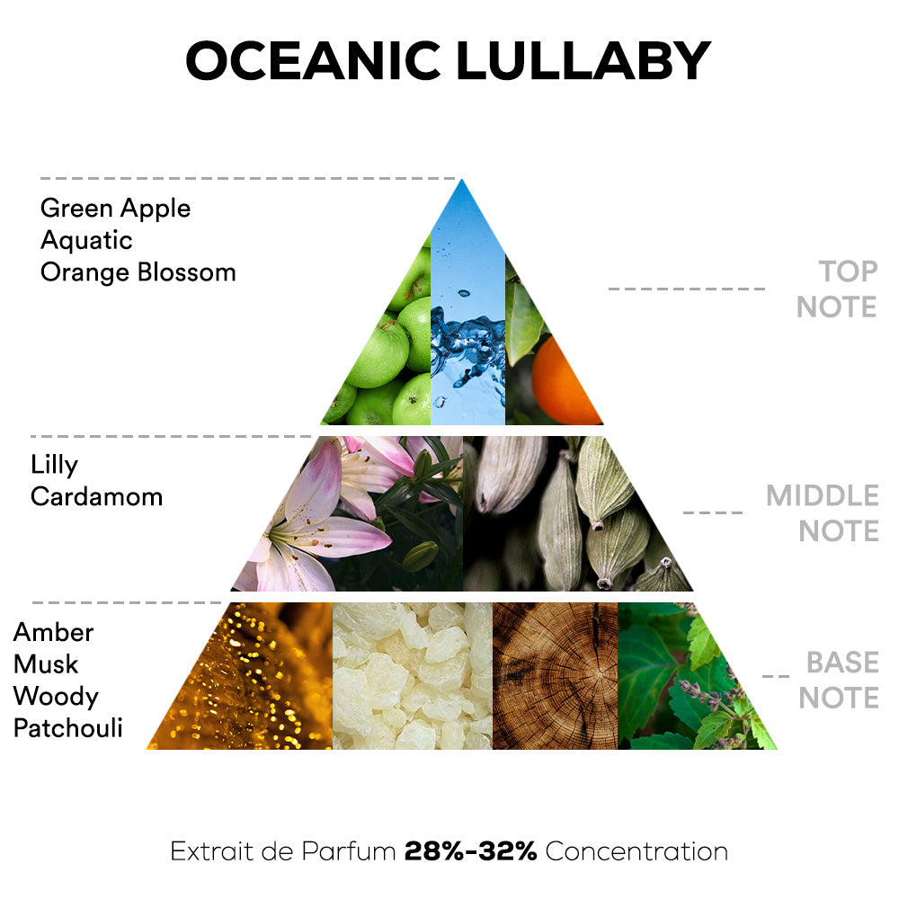 Oceanic Lullaby Perfume - 50ml | 100ml Extrait De Parfum