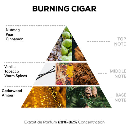 Burning Cigar Perfume - 50ml | 100ml Extrait De Parfum